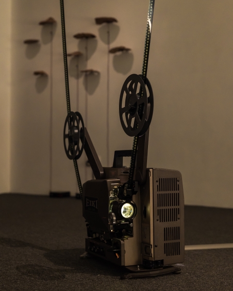 「三個太陽」個展｜胡農欣｜國藝會補助成果檔案庫